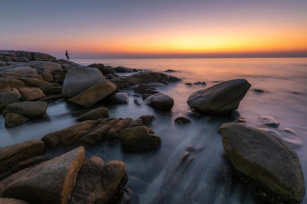 Mastering wildlife photography in uk's national parks: pro tips for awe-inspiring images