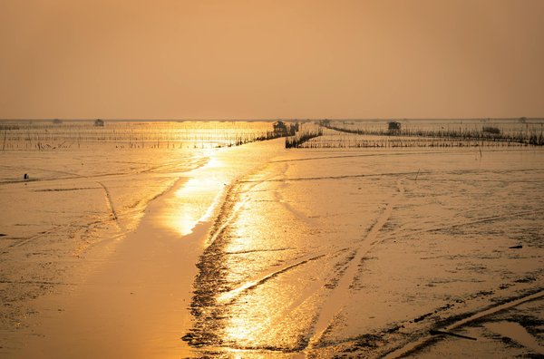 Discovering Sustainable Getaways: Top Tips for Eco-Friendly Holiday Rentals in the Cotswolds